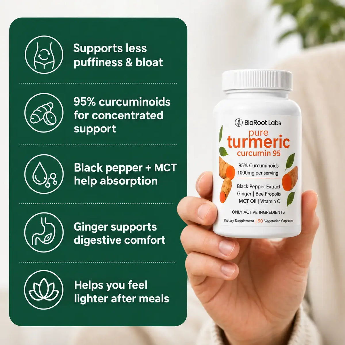 Turmeric Curcumin Capsules (1,000mg)