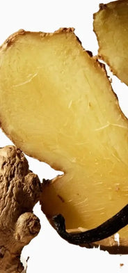 Fresh ginger root