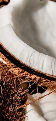 Coconut and MCT oil